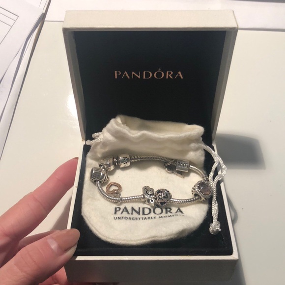 Pandora Iconic Silver Bracelet 2 & 8 Charms - Picture 7 of 7